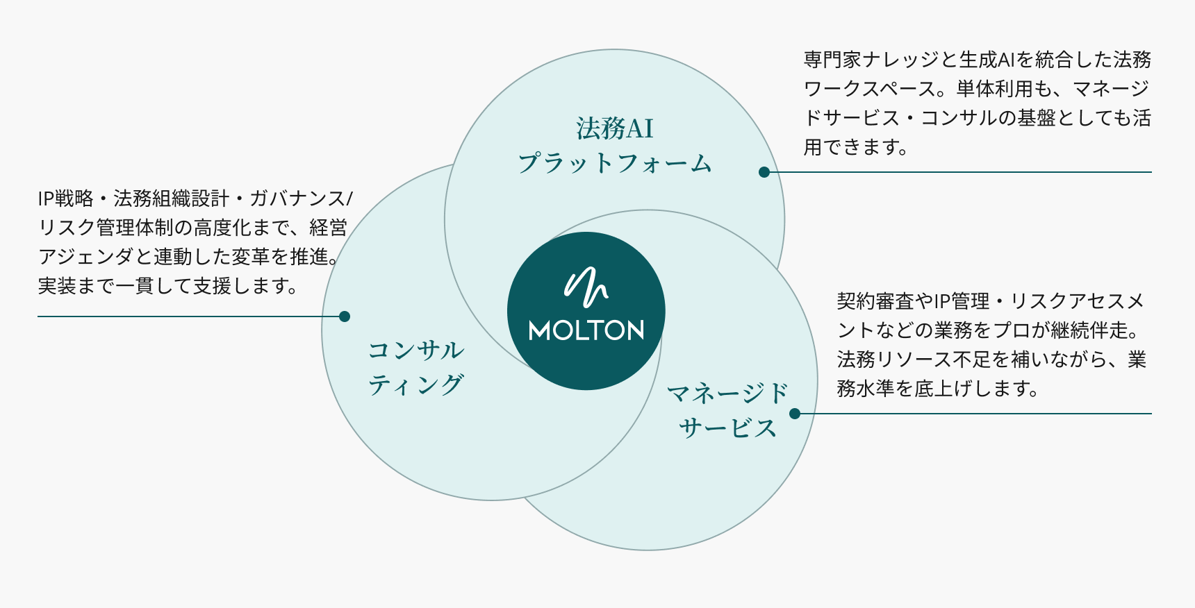 Moltonソリューション図